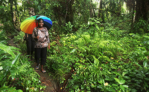 Solomon Islands : Travel :  Photos : Richard Moore : Photographer